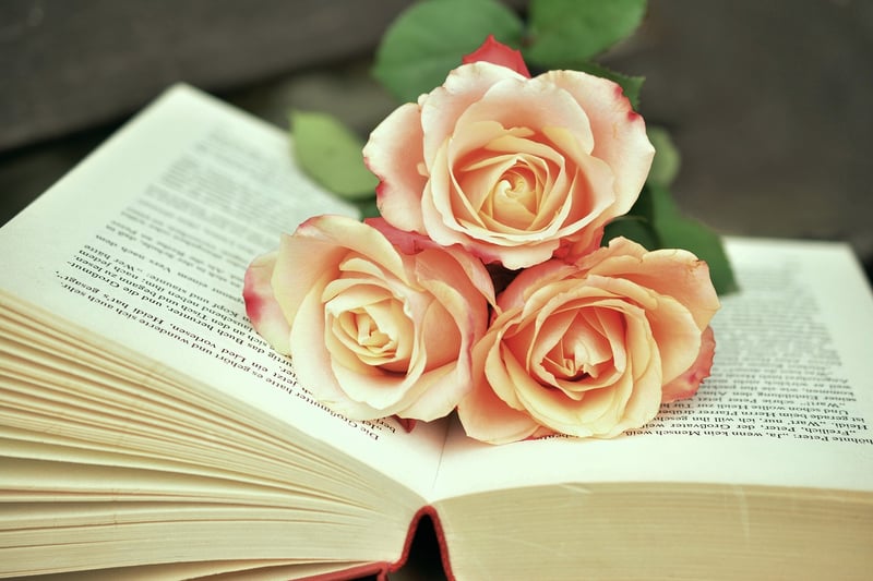 Fantasy Books Image